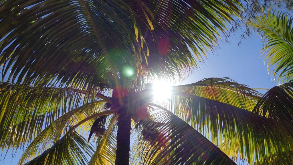 Coconuts Villa Grand Baie Exterior photo